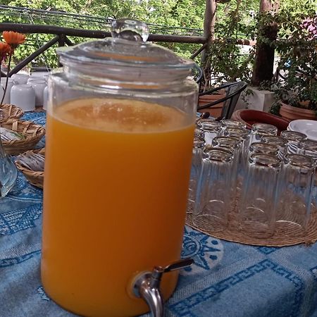 Mio Tulum Hotel Boutique Exteriér fotografie A glass dispenser of freshly squeezed orange juice